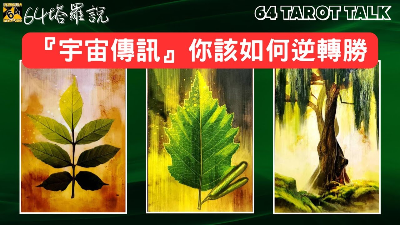 📢『宇宙傳訊』我該如何逆轉勝🔮塔羅占卜🎁64塔羅說💕64 TAROT TALK⌛TIMELESS🌈PICK A CARD✨