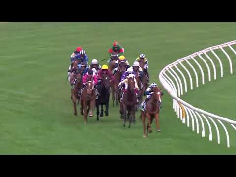 Turnbull Stakes 2026 - COSMIC CRUSADER (4YO+ SWP G1) Group 1 Flemington 3 Oct