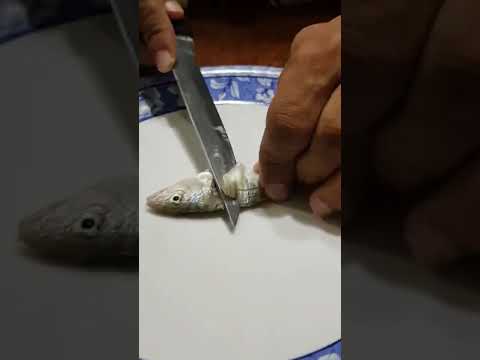 عملت سوشي ب نص جنية