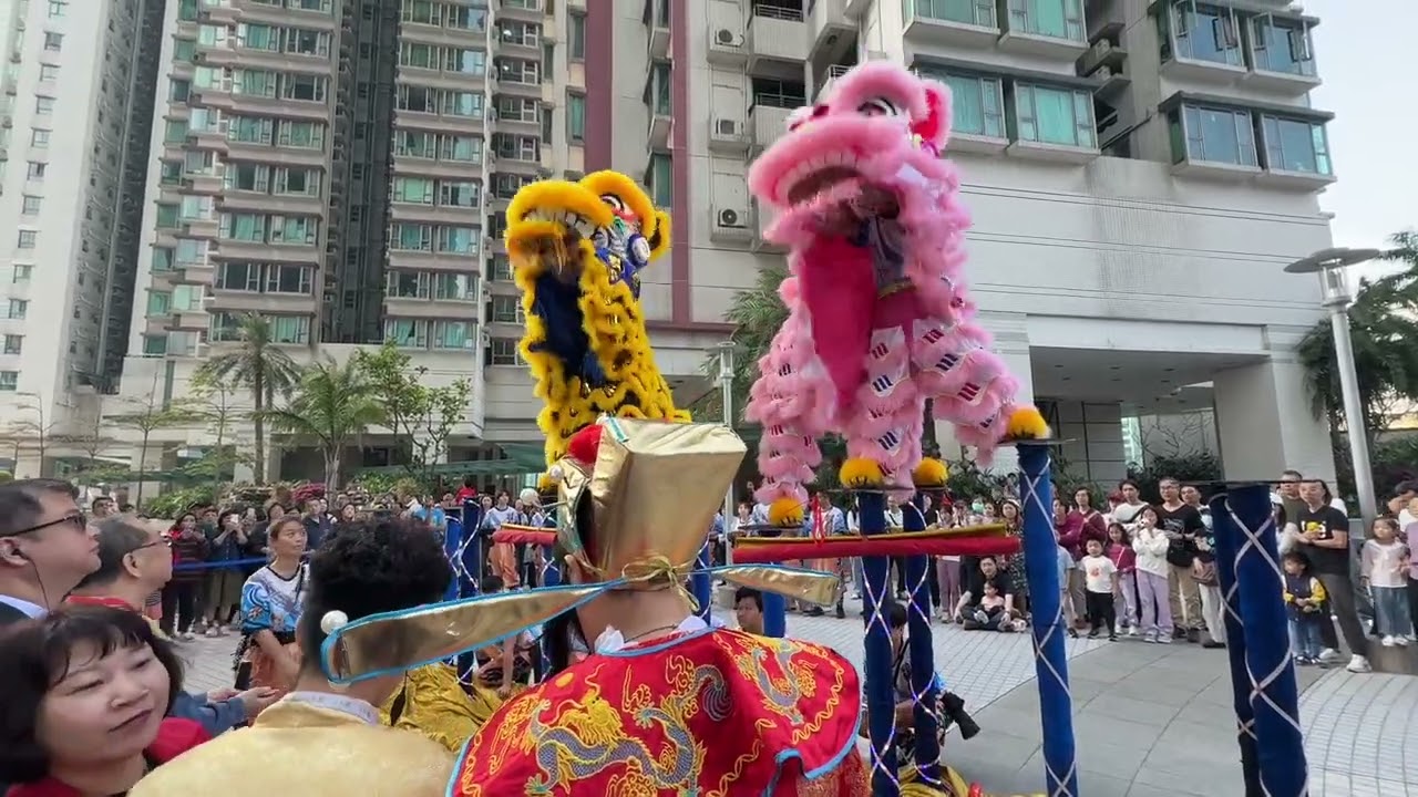丙午年新春醒獅賀馬年 2026 Lunar New Year Lion Dance Performance
