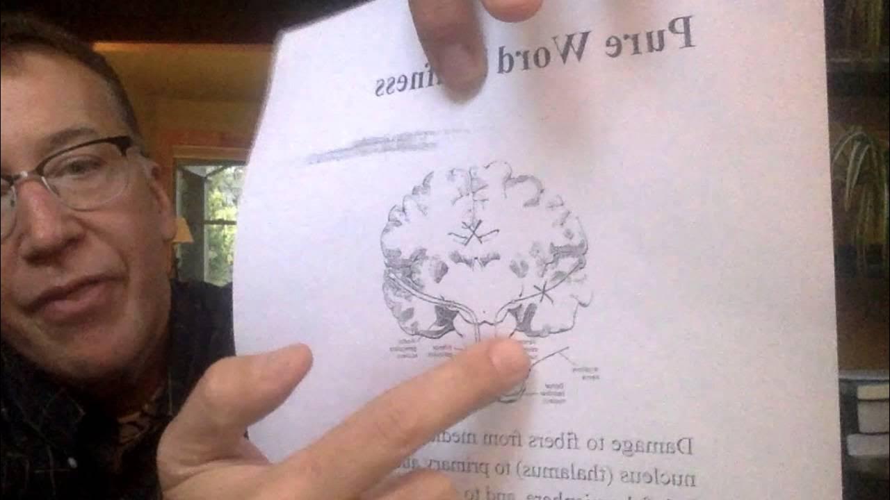 pure-word-deafness-youtube