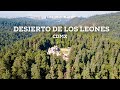 El Desierto de los Leones, el primer Parque Nacional de México.