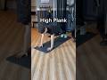 High Plank - Exercise Demonstration