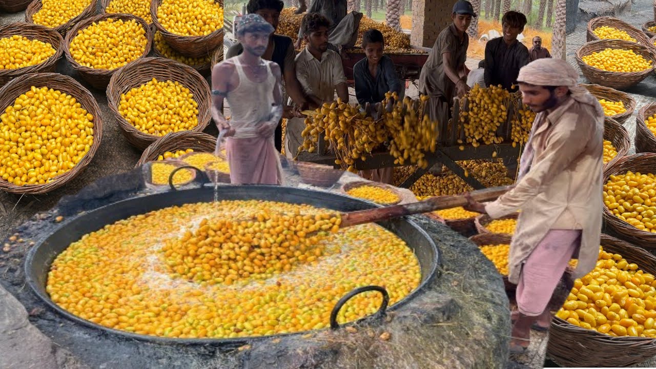 Traditional Dates Processing in Farm | Millions of Dates Processed Every Season | Wahjoc Food