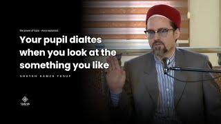 The Hidden Science of Gaze: Your Eyes Don’t Lie - Shaykh Hamza Yusuf