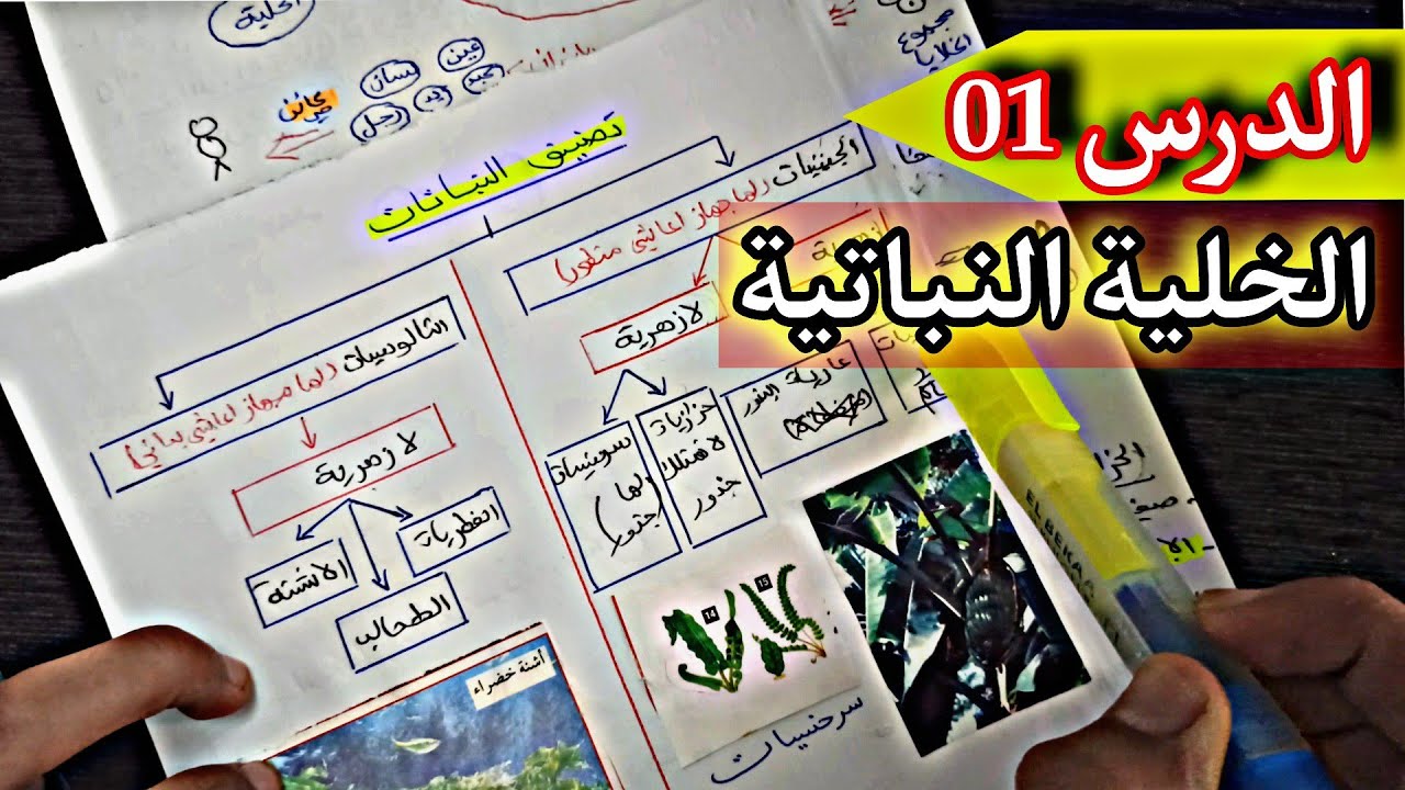 الدرس 01:الخلية النباتية بالتفصيل الممل| علم النبات☘️