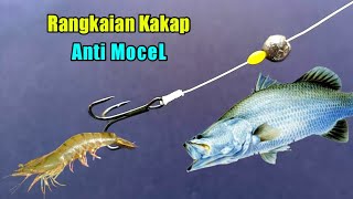 Anti mocel - Rangkaian pancing kakap putih barramundi