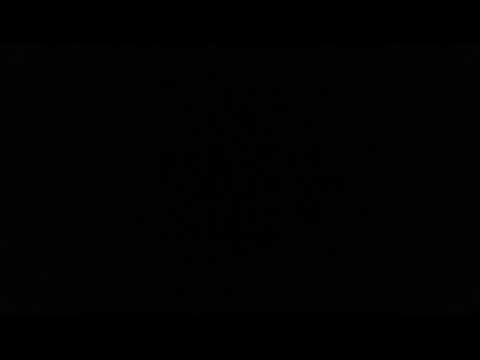 Don't Disturb By Mitty T - Summer (Official)