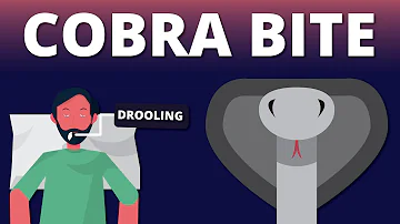 What is the survival rate of a cobra bite?