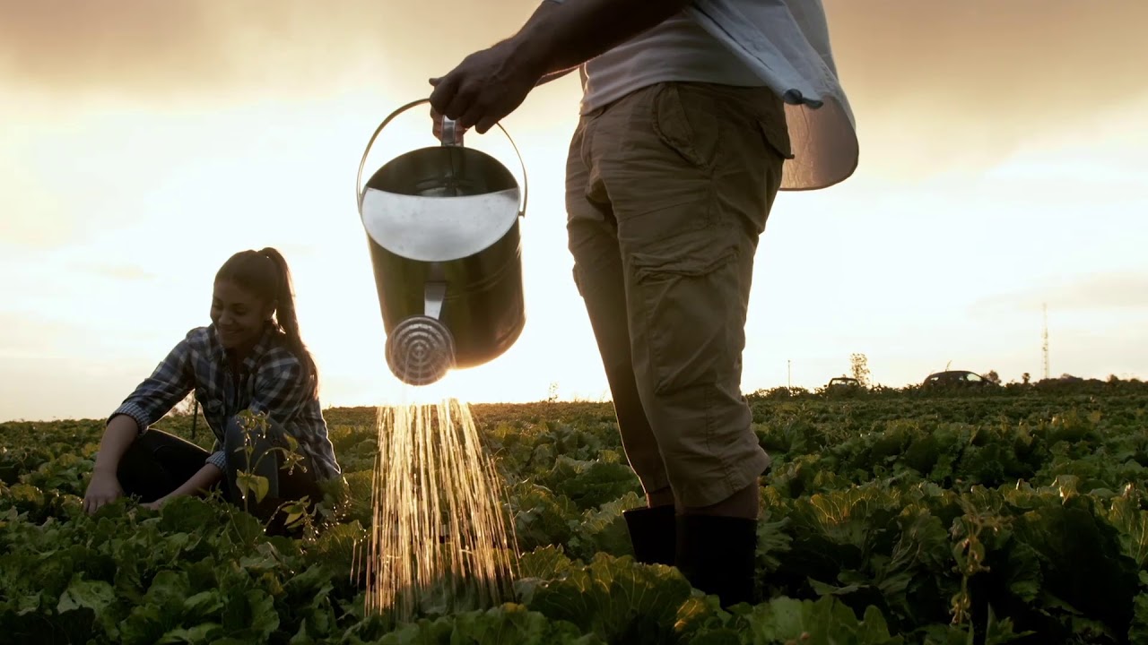 SDG 6 - Clean Water and Sanitation