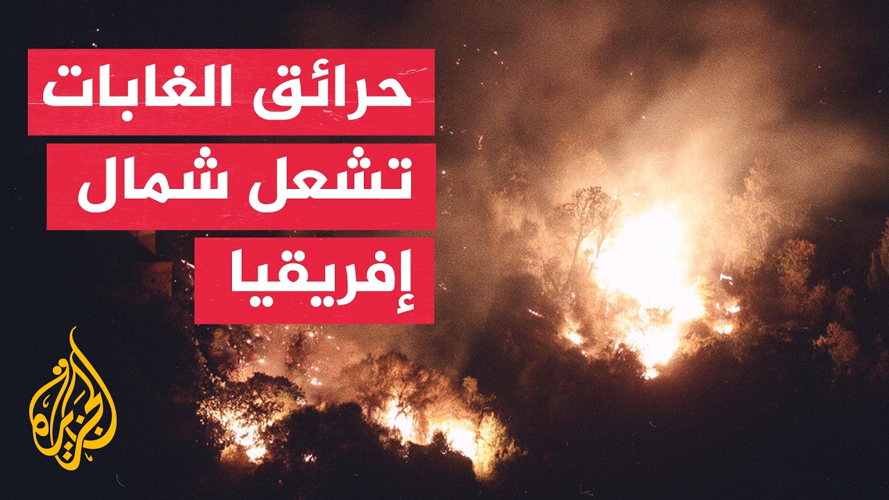 ���� �������� ������� ���� ����� ����� ������� ������� ������
 - نشر قبل 13 دقيقة