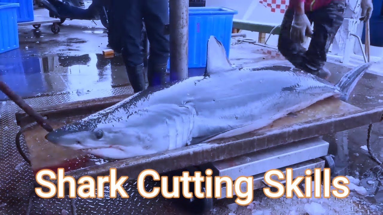 Big Shark Cutting Skills | Shark Recipe Preparation and Cooking