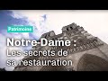 À Notre-Dame, les matériaux livrent leurs secrets | Reportage CNRS