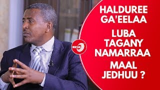 Download Lagu halduree Ga'eelaa Luba Tagany Namarraa  maal jedhuu ? | MAADDII MAATII APRIL 2 2019 MP3