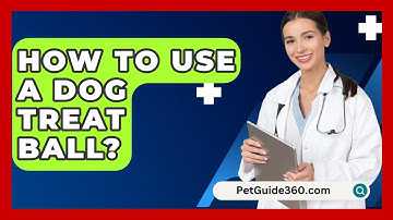 How To Use A Dog Treat Ball? - PetGuide360.com