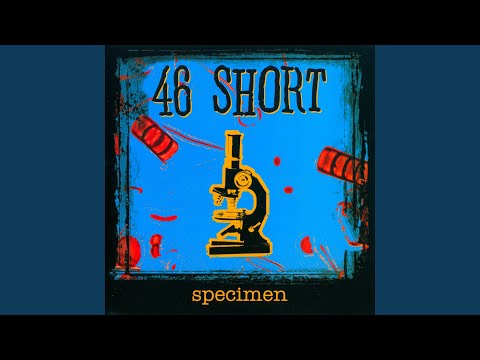 46 Short — T.V. Baby