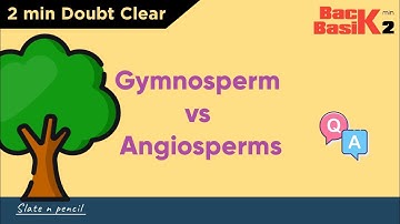 Angiosperms Vs Gymnosperms | Quick 2 min Comparison | Basic Concept | Slate and Pencil