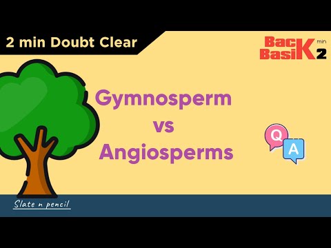 Angiosperms Vs Gymnosperms | Quick 2 min Comparison | Basic Concept | Slate and Pencil