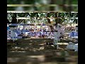 âš 13 NOV 2022 Hlahlindlela Temple Kwamukelwa UMkhokheli Ma Mvubu SHINGA âš 13 NOV 2022 Hlahlindlela Temple Kwamukelwa UMkhokheli Ma Mvubu SHINGA