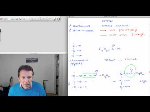 Video: Verschil Tussen Vetzuren En Triglyceriden