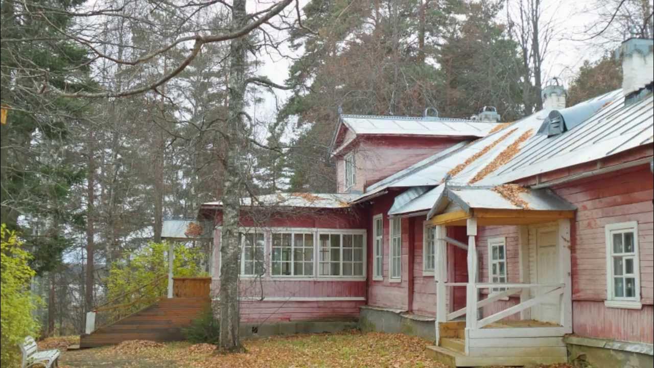 Академическая дача репина фото