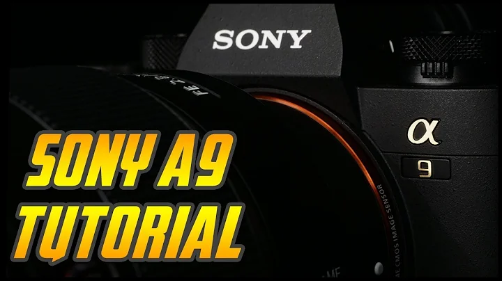 Sony A9 Overview Tutorial - Full Camera Training Video - DayDayNews