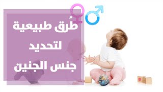 كيفية تحديد جنس المولود مع رولا القطامي