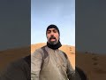 طرق ركوب الخيل تضحي في بعض الأمور مع الحصان للحصول على أمور اخرى اهم