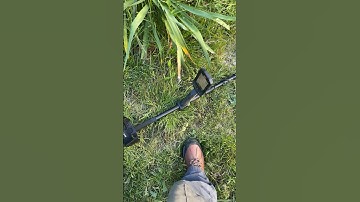 Minelab Manticore 2 hole Button #shorts #minelab #manticore #metaldetector #metaldetecting