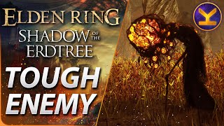 Elden Ring DLC - Tough Enemy - Aging Untouchables (Parrying) - Abyssal Woods - Shadow of the Erdtree