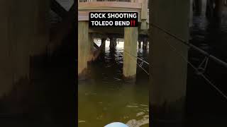 DOCK SHOOTING for CRAPPIE on TOLEDO BEND‼️            www.youtube.com/c/BarFlyFishing
