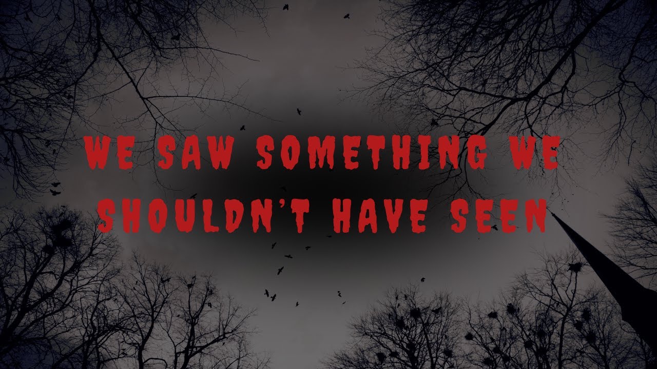 We can't believe what we saw on way back home YouTube
