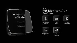 The All-New Waggle RV Pet Monitor Lite Plus - Upgraded Pet Temperature Monitoring Tech by Waggle TV 724 views 7 months ago 31 seconds