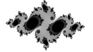 Evolution of a Fractal