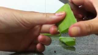 Cómo Hacer Crema De Aloe Vera Casera Loción Aloe Vera Casera Youtube