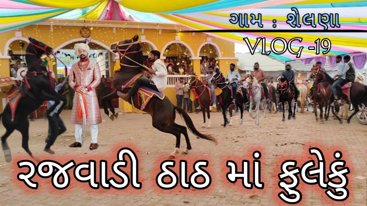 લૂણસર પરિવાર ના આંગણે ફૂલેકું  : શેલણા || Full Horse Vlog ||