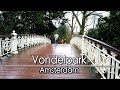 【4K】Day Rainy Walk in VondelPark Amsterdam in the Rain | 4k60 | Ambient Music