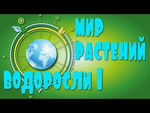 ВОДОРОСЛИ. Мир растений
