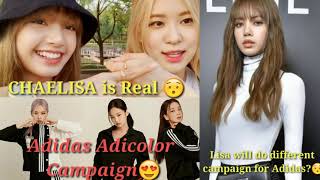 Lisas Friend Support Rosé Chaelisa And Blackpink For Adidas
