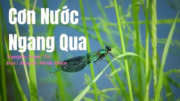 Cơn Nước Ngang Qua - Nguyễn Ngọc Tư | Đọc: Huỳnh Minh Hiền