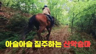 승마하면서 여기 안가봤어?-산악구보, 초원, 강변 여기가면 모두 있다!! 연천 외승