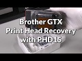 Brother gtx print head recovery with p.15