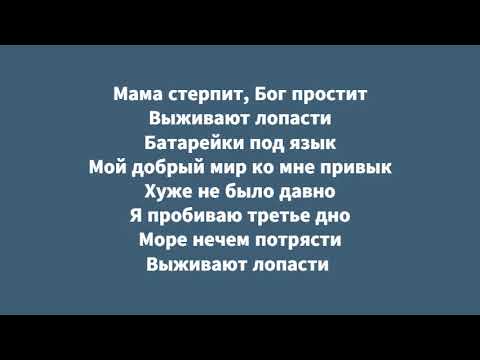 Intelligency — August (ТЕКСТ), русская версия