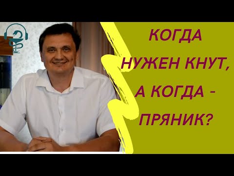 Метод кнута и пряника  Что важнее