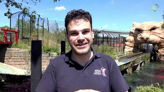 Andrew Porter Extended Interview | Chessington World of Adventures