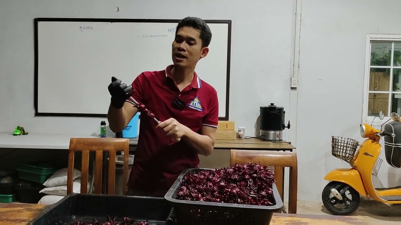 กระเจี๊ยบแดงปลูกแล้วขายที่ไหน