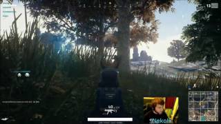 Pubg - No One Expects The Smokebush