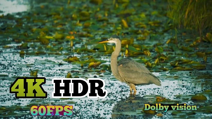 most beautiful earth video you'll Ever see in 4K HDR 60fps