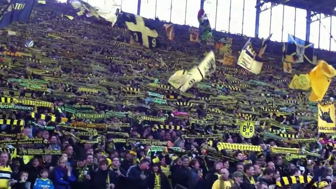 Nur der BVB