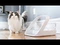 Do Microchip Pet Feeders Work for my FOOD THIEF CAT!